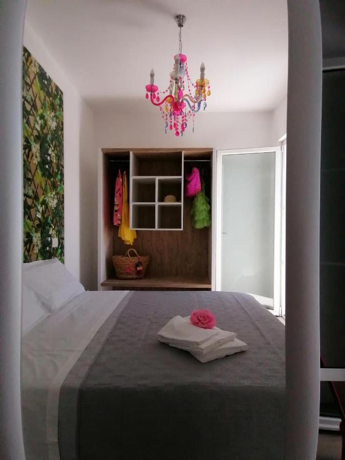 Retroscena Apartment In Centro 西维尔诺瓦·马尔凯 外观 照片